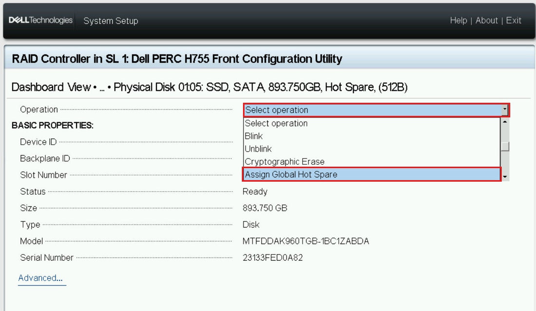 RAID PERC H965i, H755 Configuration on Dell Poweredge r760 